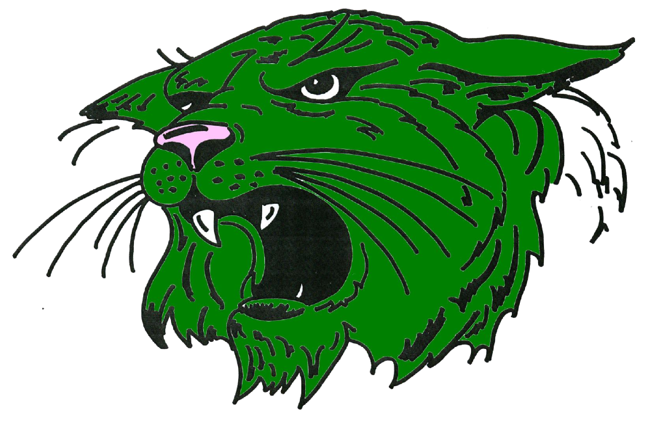 Warsaw Alumni Association Inc